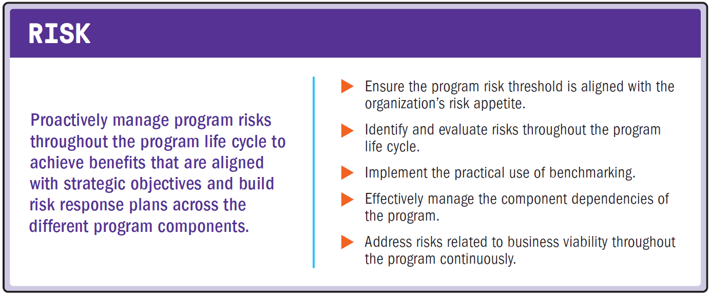 Pgmp Certification Risk Principle
